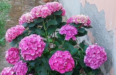 Casa di Giulia (Bambini gratis fino a 6 anni) - Foto 24