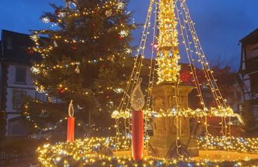 Coquette Maison, Côté Château à Mutzig en Alsace - Foto 31