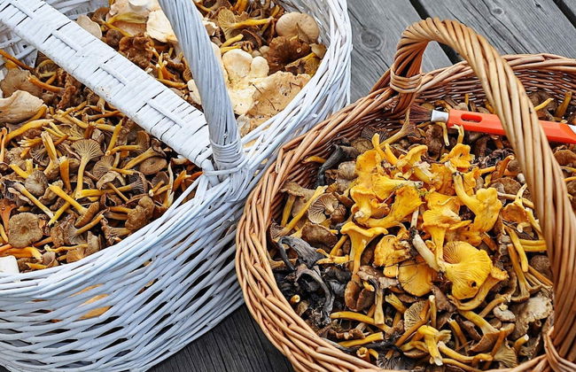 8 Person Holiday Home in Lycksele-by Traum - Foto 11