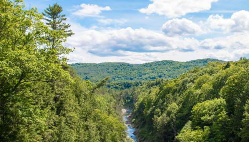 The Woods - Village-11 - Foto 3