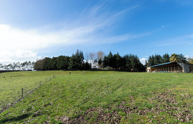 Morning Calm Lodge Limited - Photo 25