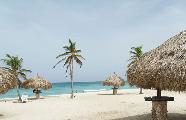 Escursione tra le spiagge - Foto 3