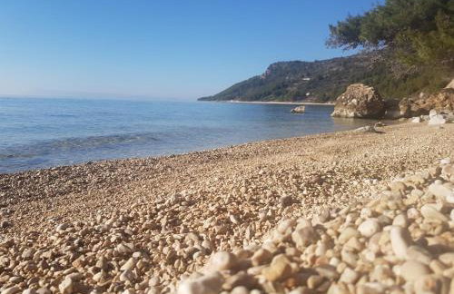 Apartmani Nina & Mili - Photo 6