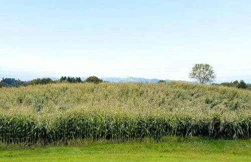 Ferienwohnung Morent - Foto 17