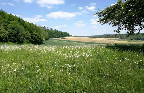 Ferienwohnungen Däubler - Foto 22