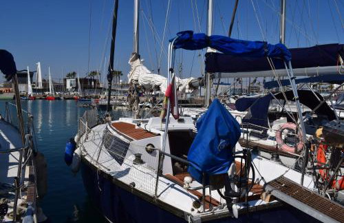 Velero en Puerto Valencia Mar -E&M Boats - Foto 1