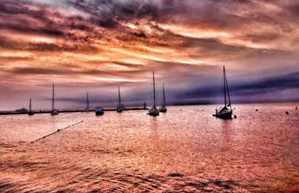 The Green house - 20m from the beach - Photo 38