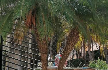 Campoamor Seaview - Foto 36