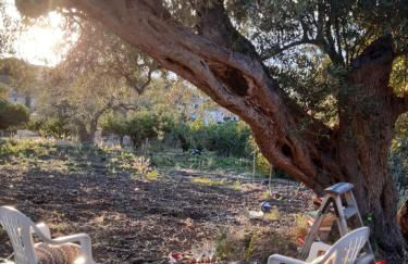 Villa Calcasacco - Foto 17