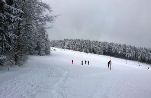 Panoramaferienwohnung Bergwiese - Foto 28