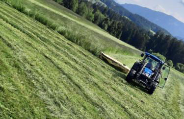 Ferienwohnung am Wirtshof - Foto 39