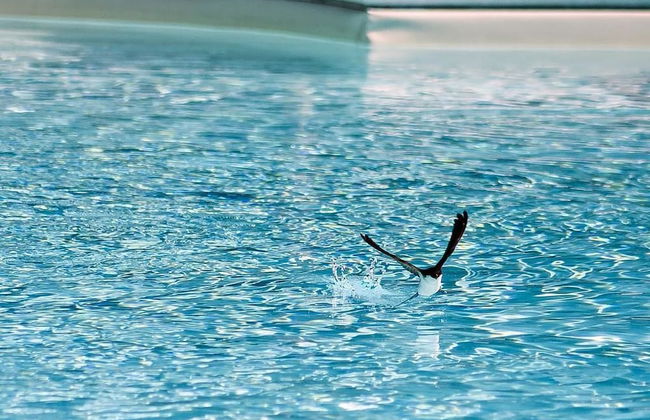 La Perticara - Foto 13