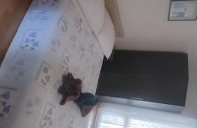 Villa Franić - Photo 26