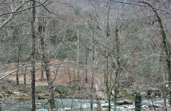 The Esmeralda Inn at Lake Lure - Foto 52