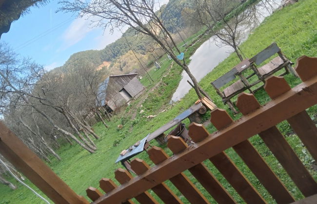 Room in Guest Room - Cozy Rural Retreat in Roşia Montana - Photo 67