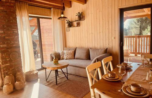 Cztery Pory Roku Swornegacie z balia i sauną - Foto 14