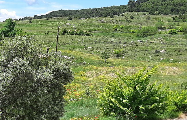 Casa Rural Garnacha de Borja has a Barbacue and Terrace - Foto 63