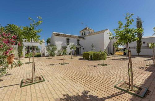 Cortijo Pavia - Photo 13