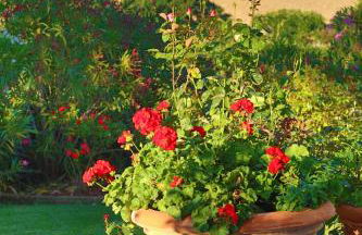 Agriturismo Podere il Fornacino - Foto 47