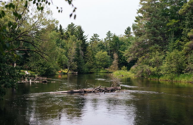 Uncle Tom's 3BDR Cabin For Nature Lover - Foto 77