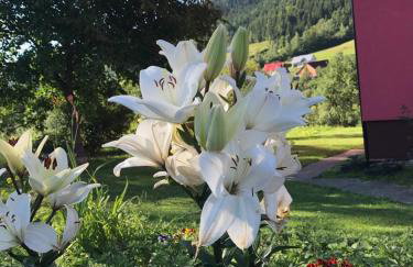 Malinowy Domek - Photo 75