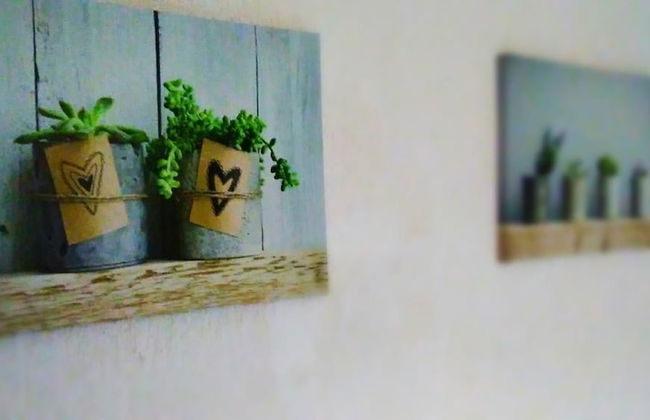 Plaza los Naranjos - Foto 20