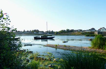 LA VUE LOIRE Maison - Foto 27