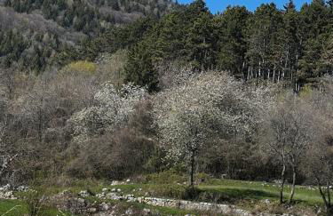 Bellavista - Grande giardino privato, tranquillità, panorama - Foto 33
