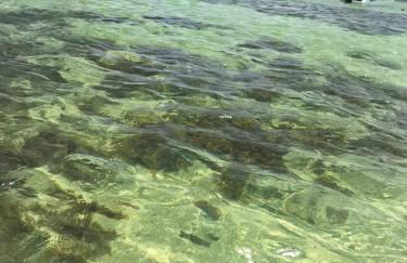 casa ampla com PISCINA e área verde em São José ao lado de Maragogi - Foto 40