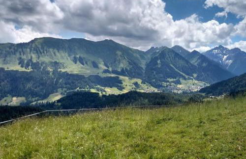 Ferienwohnungen Leiner - Foto 18