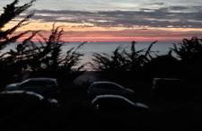 LES ARCADES Sables D'Or Les Pins - Foto 11