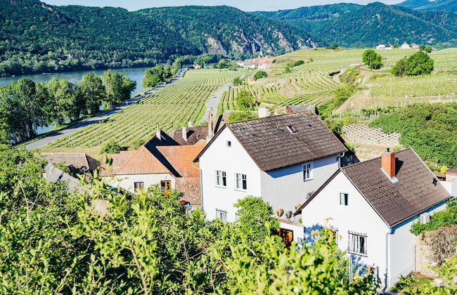 Wachau-Living - Photo 66