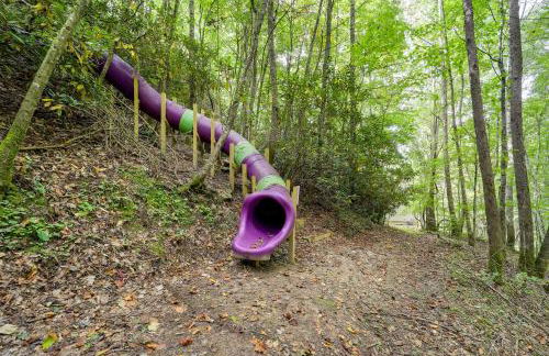 Greystone Creekside Cabin Hike, Fish and Explore! - Foto 41