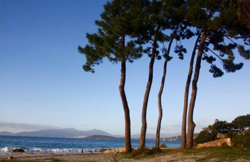 Résidence U Rapalinu - Foto 25