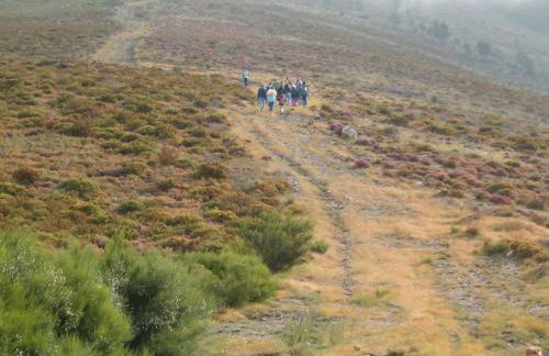 Casa da Sobreira - Foto 40