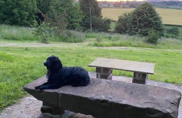 Thatch Close Cottages - Foto 1