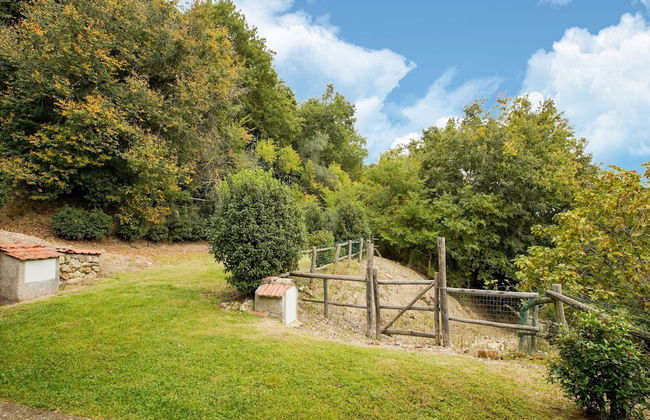 Villa in Sermugnano With Pool & Garden - Foto 34