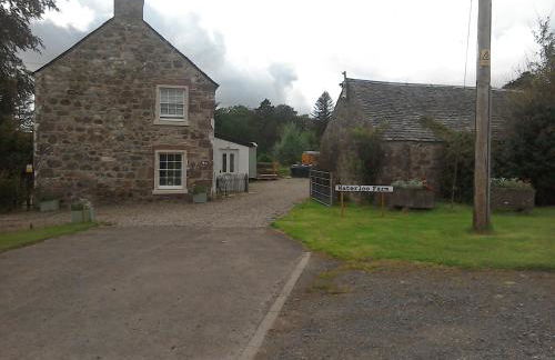 Waterloo Farm Shepherds Hut Glamping with Sun Lounge - Foto 19