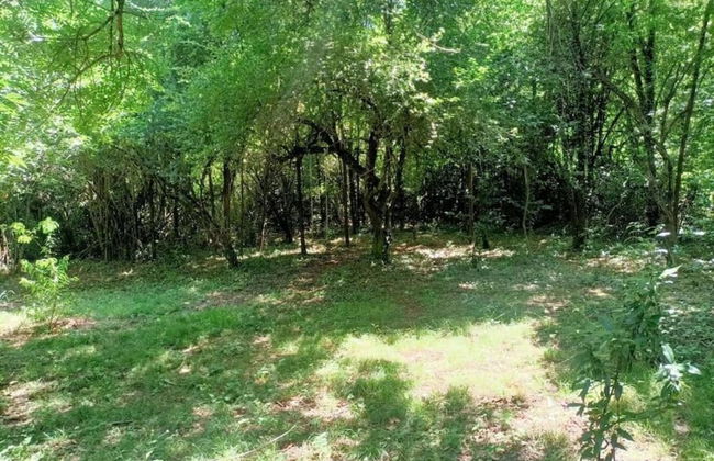 Cevennes View Retreat in Molieres - Foto 37