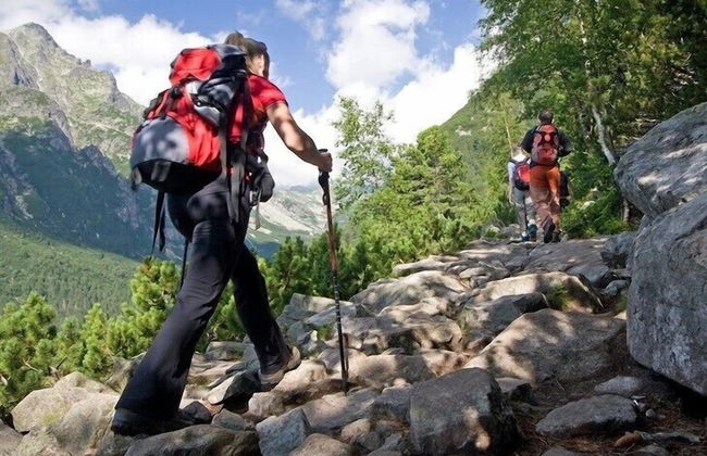 Agriturismo le Capannacce - Foto 44