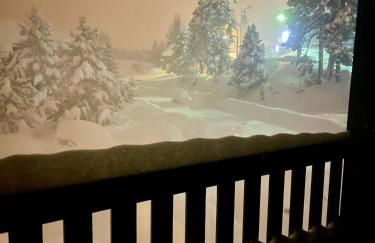 L'Aire des montagnes - Foto 52