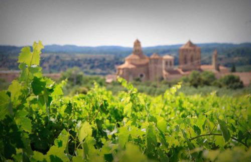 La Masia de Rendé Masdéu - Foto 38