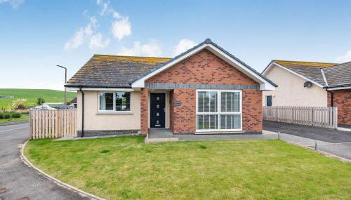 Oystercatcher - Foto 1