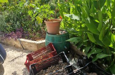 Apartments Rora - Foto 35