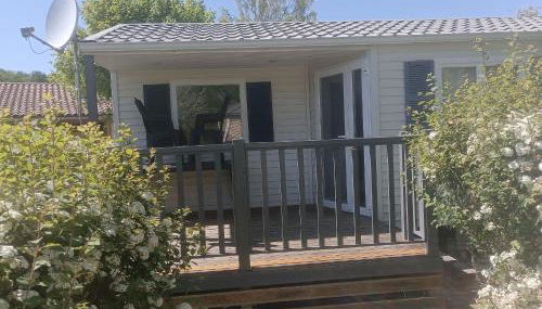 Rouge-gorge - TG2189 - Foto 3