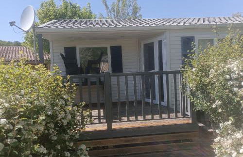 Rouge-gorge - TG2189 - Foto 3