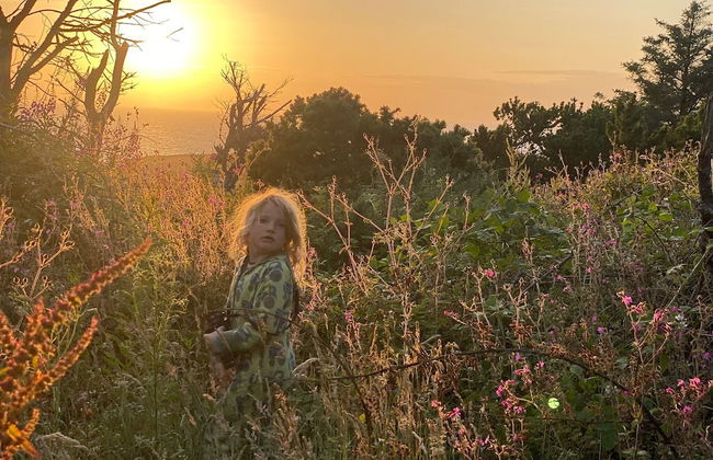 Bell Tent , Carreglwyd Estate, Anglesey - Photo 22