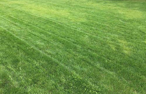 White House Izabelin Family SPA House near Warsaw - Foto 23