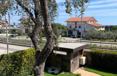 Casa Olivastri - Foto 31