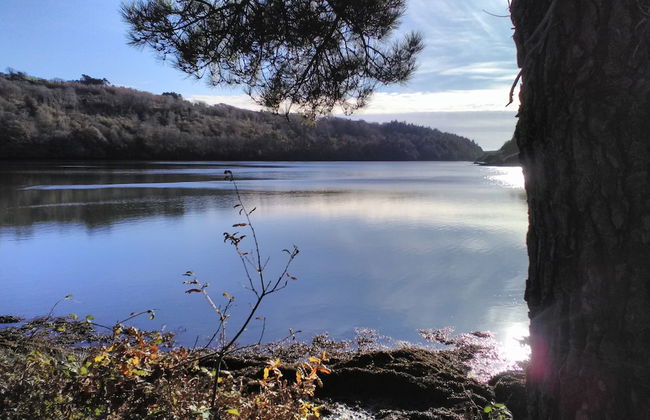 Lovely Sea View Apartment in Rineen - 4 Guests - Foto 26